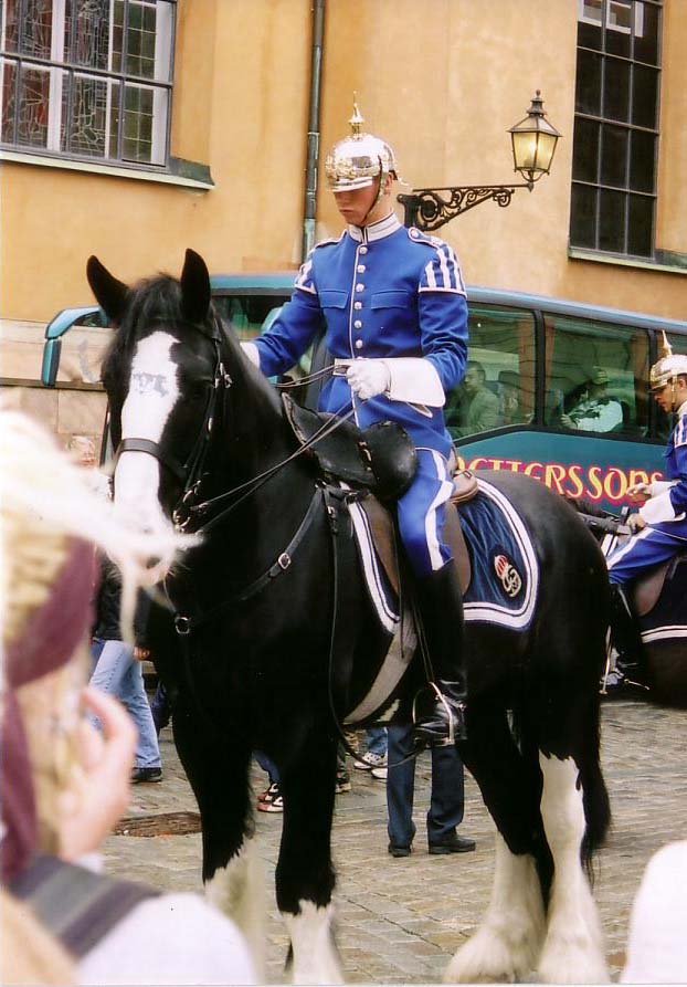 �q����֎���A�ЂƋx�݁B