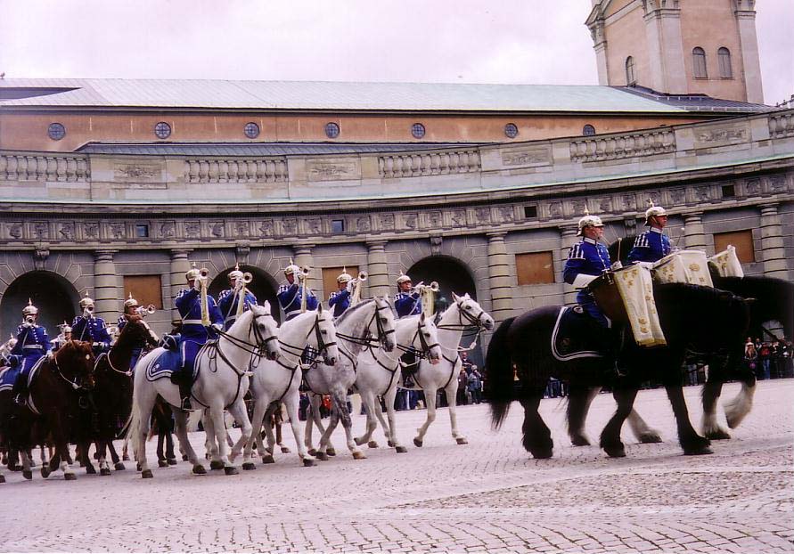 ���y���������Ă���B