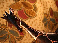 �C���[�W01